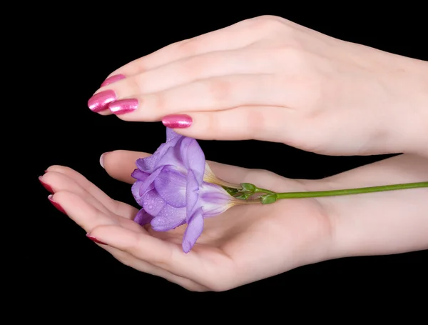 Beauty is in the hands — Stock Photo, Image