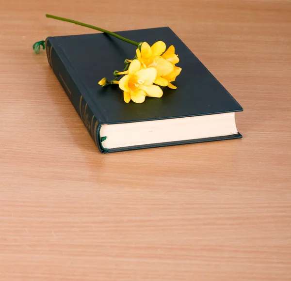Freesia amarela em um livro fechado — Fotografia de Stock