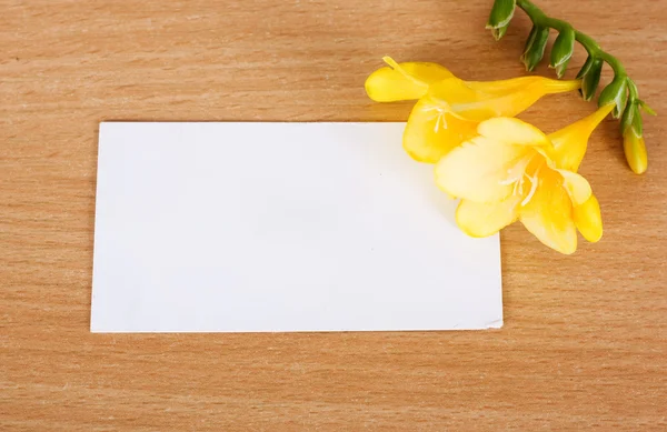 Prázdná karta s žlutým květem — Stock fotografie