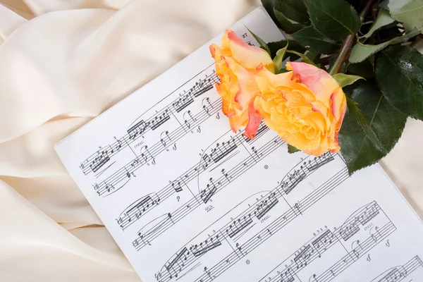 Roses on sheet music — Stock Photo, Image