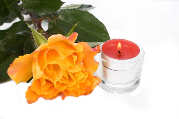 Rosa amarela bonita e acendeu uma vela — Fotografia de Stock