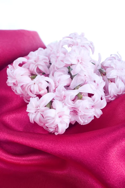 Fleur de jacinthe rose — Photo