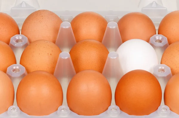 Eggs in box — Stock Photo, Image