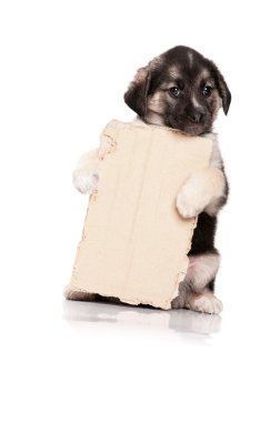 Puppy with paper clipart