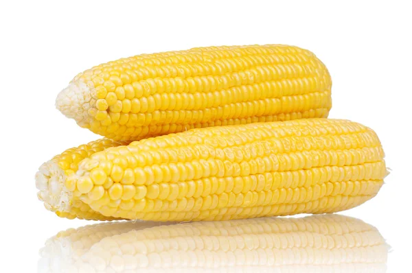 Fresh corn — Stock Photo, Image