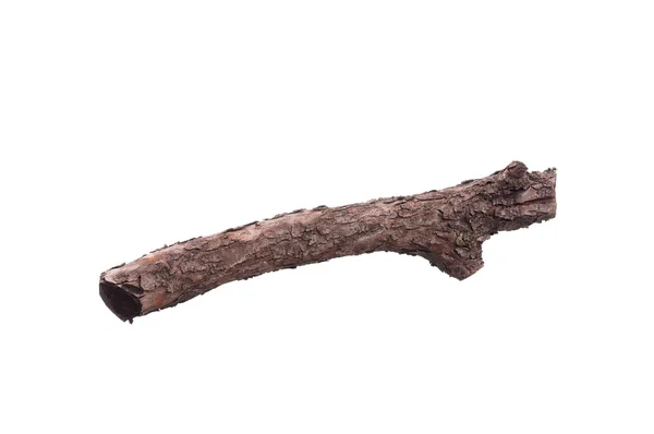 Ramură copac — Fotografie, imagine de stoc