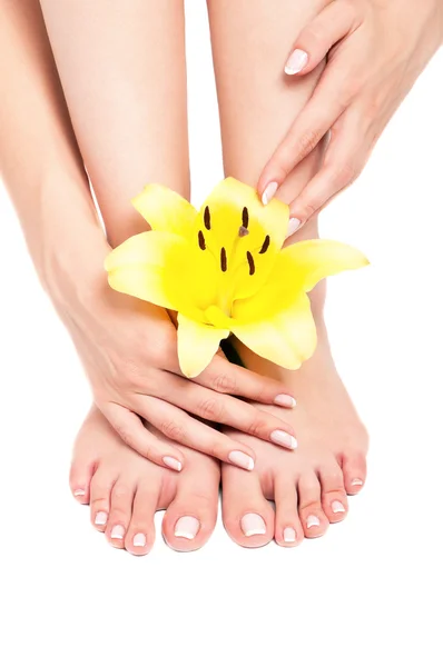 Feet with flower — Stock Photo, Image