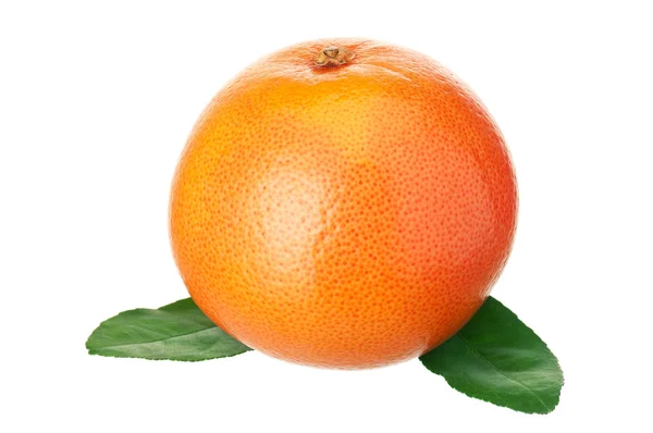 Reife Grapefruit — Stockfoto