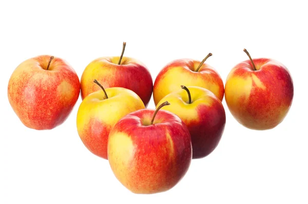 新鮮なリンゴ — ストック写真
