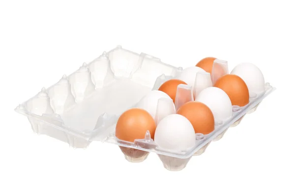계란 상자에 — 스톡 사진