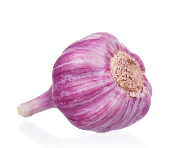 Frischer Knoblauch — Stockfoto