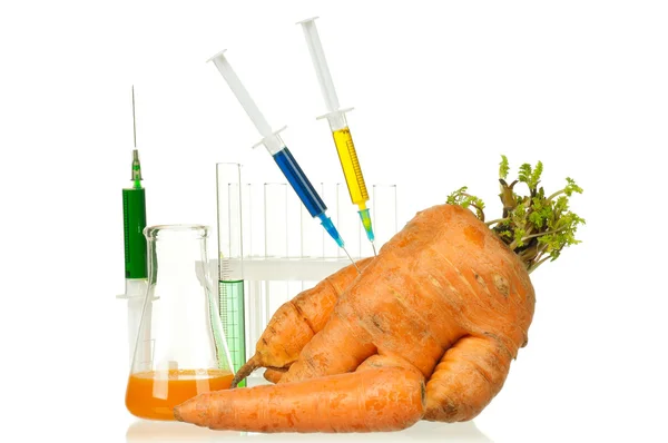 Organismo geneticamente modificato — Foto Stock