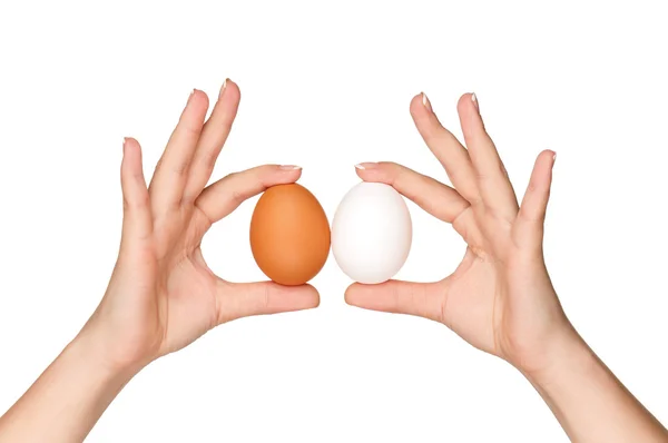 Hand with egg — Stock Photo, Image