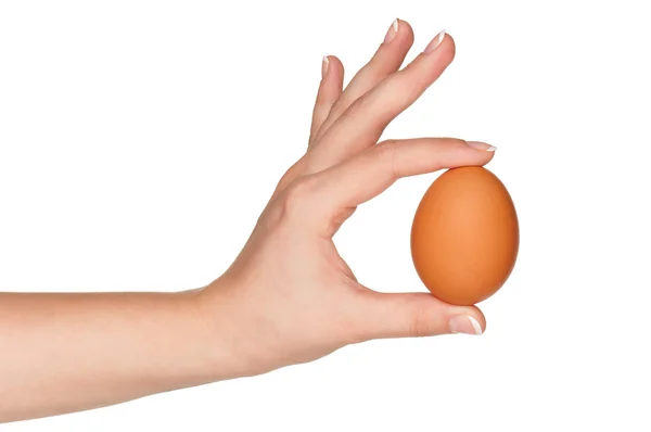 Mano con huevo — Foto de Stock