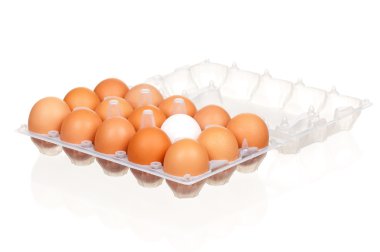 Eggs in box clipart