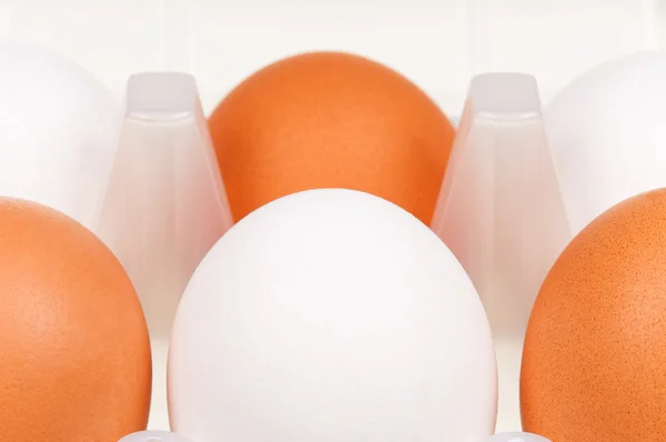 Αυγά στο πλαίσιο — Φωτογραφία Αρχείου