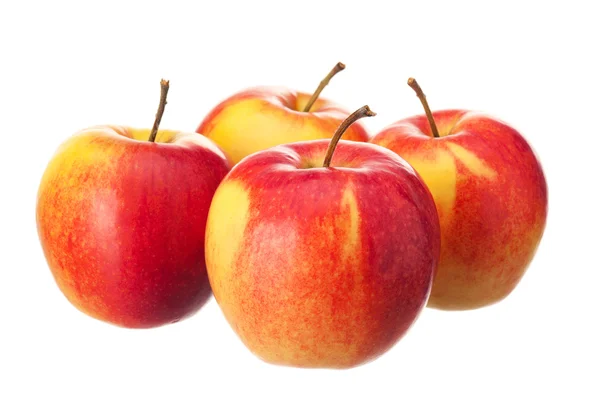 Färskt äpple — Stockfoto