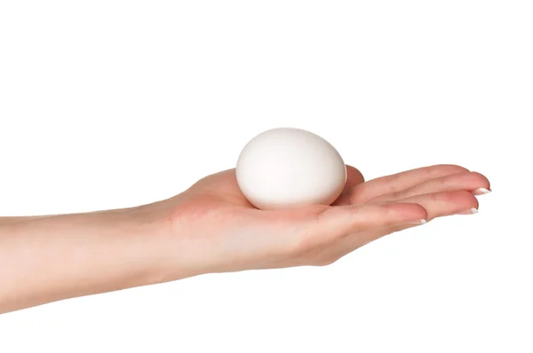 Рука с яйцом — стоковое фото