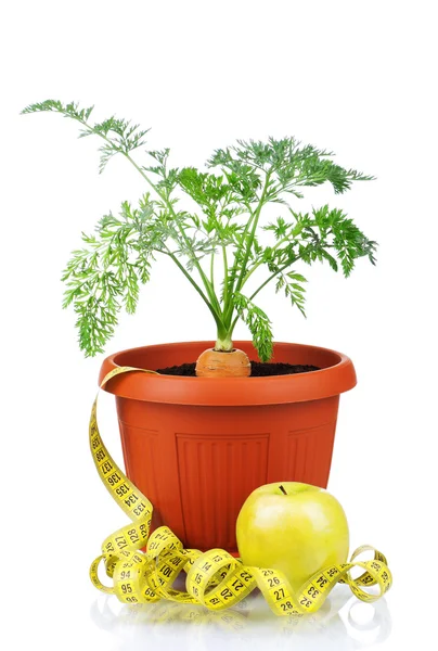 Carrot in plastic pot — Stock Photo, Image