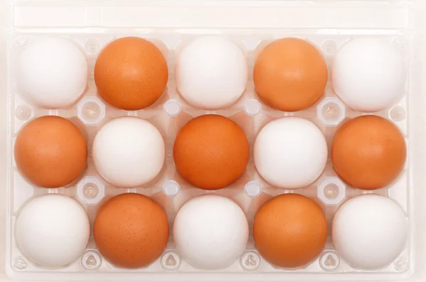 계란 상자에 — 스톡 사진