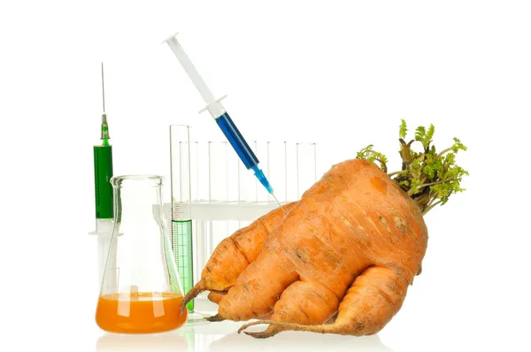 stock image Genetically modified organism