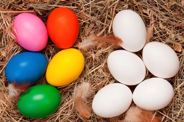 Ouă în cuib — Fotografie, imagine de stoc