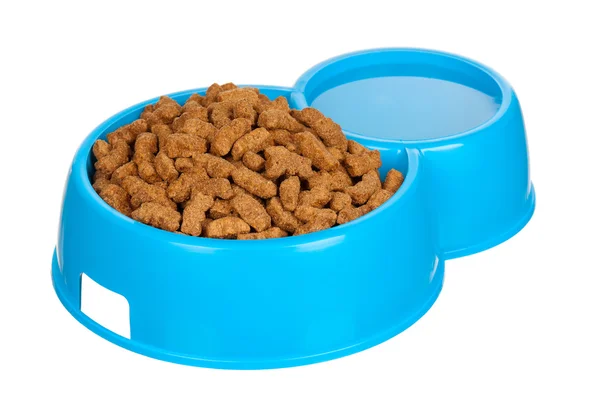 Miskę karmy dla psów — Zdjęcie stockowe