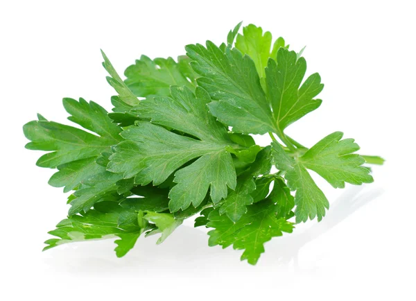 stock image Fresh parsley