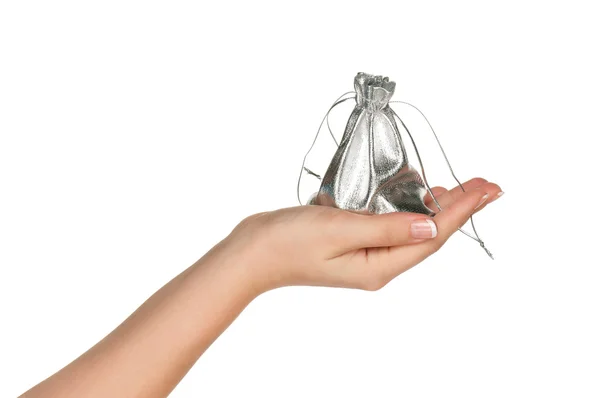 Hand with money bag — Stock Photo, Image