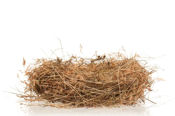 干草的巢 — 图库照片