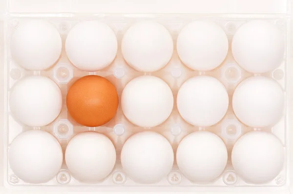 Ägg i låda — Stockfoto