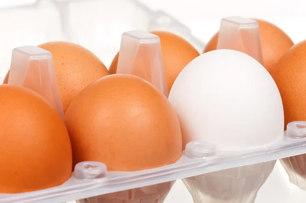 Yumurta kutusu — Stok fotoğraf