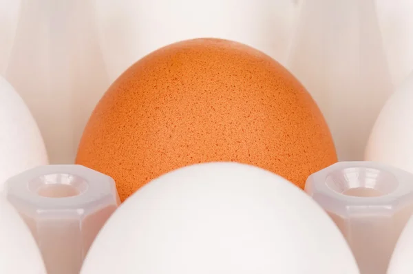 Eieren in doos — Stockfoto