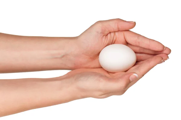 Ręka z jajkiem — Zdjęcie stockowe