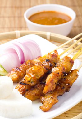 tavuk satay