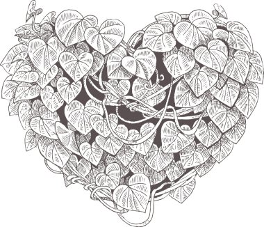 Heart of the climbing plant with leaves. Valentine clipart