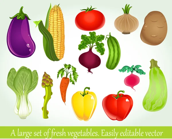 A large set of fresh vegetables. Easily editable vector - Stok Vektor