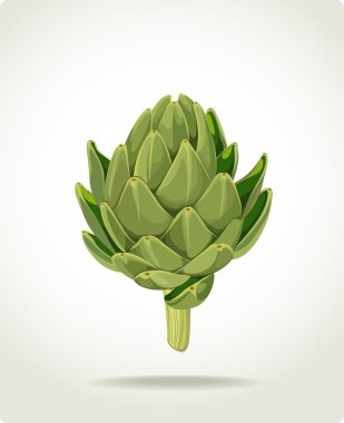 Green fresh useful eco-friendly artichoke clipart