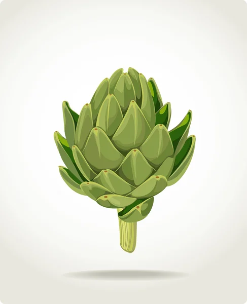 Alcachofa verde fresca útil respetuosa del medio ambiente — Vector de stock
