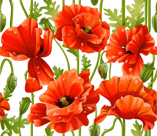 Seamless pattern of red poppies realistic — Stock Vector