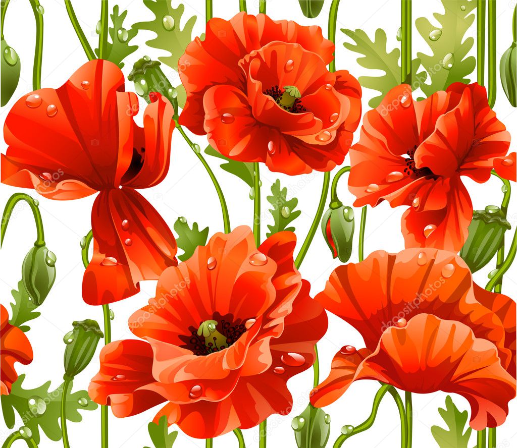 Seamless pattern of red poppies realistic