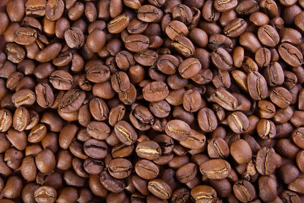 Kaffeböna bakgrund — Stockfoto