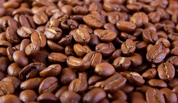 Coffee Bean Background Stock Picture