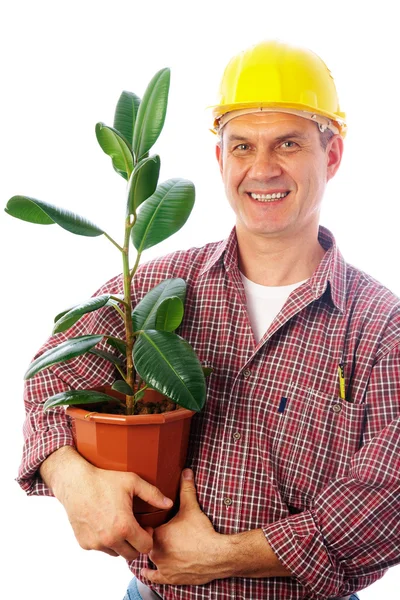 Builder with ficus — Stock Photo, Image