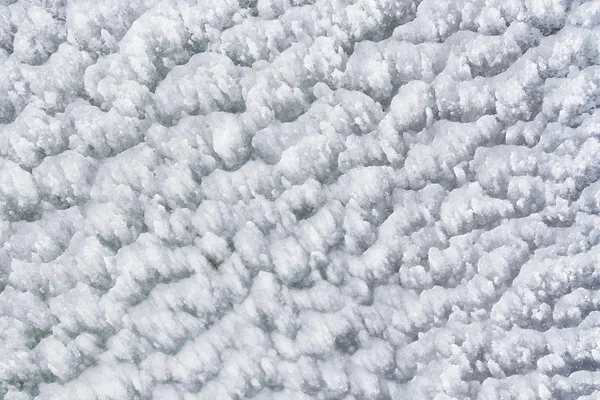 Isig snö — Stockfoto