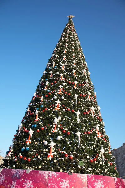 stock image Christmas tree