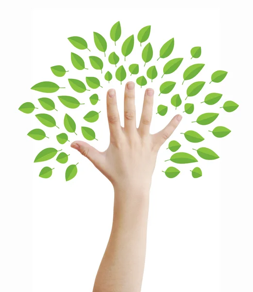 Hand as a tree — Stock Photo, Image