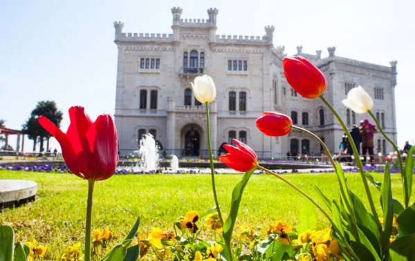 Castelo Miramare, Trieste - Itália — Fotografia de Stock