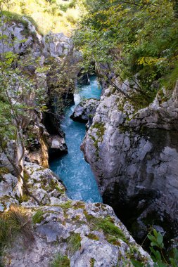 SOCA Nehri