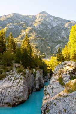 SOCA Nehri